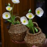 kolshi design basket