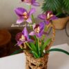 Orchid flower stick