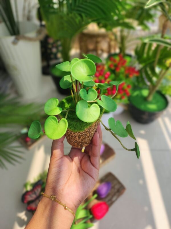 Brown tob with Coinplant