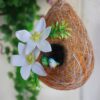 Birds Nest-Big Size Home Decor