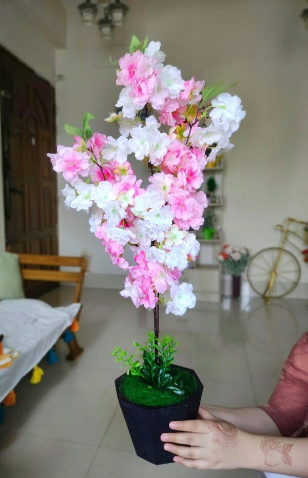 Black tob with mixed Cherry