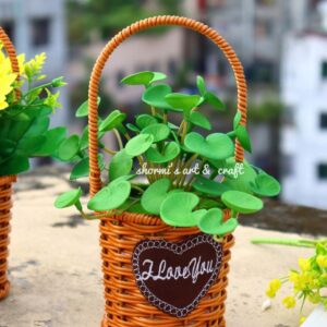 Wicker Basket with Coin Plant