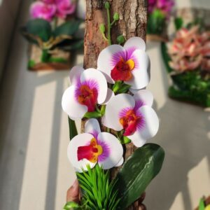 Wooden Orcid Hanging