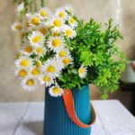 New daisy White/Yellow