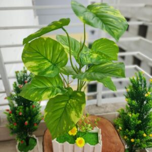 Square Fancy Vase with Monstera-16 Inch