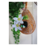 Bird-nest-with-orchid-and-2-birds