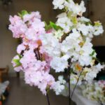 Long cherry stick (White/Pink)