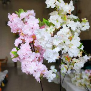 Long cherry stick (White/Pink)