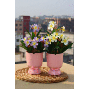 Twinkle tob with Kathgolap