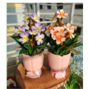 Kathgolap With Twinkle Tob