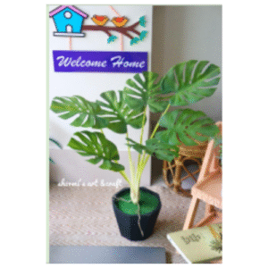 Monstera Plant with Black Tob