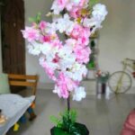 Mixed Cherry 1 Stick With Black Tob