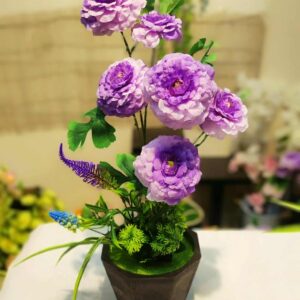 Peuny with black tob