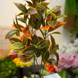 Jhopalo patabahar with tob