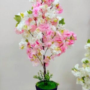 Mixed Cherry 2 Stick With Black Tob