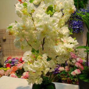 Cherry White 2 Stick With Black Tob