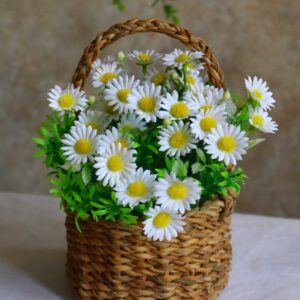 Round Busket With Daisy